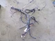 Allis Chalmers 6140 Tractor, Wiring Harness, Tag #3212