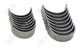 1 Set Main & Con Rod Bearing for Isuzu Engine 4LE2
