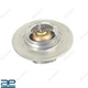 Thermostat Valve A3.152 For Massey Ferguson 135 165 175 185 240 245 255 265