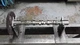 Used Cummins V378 camshaft + gear 1876490 3277465