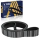 AISIN Serpentine Belt for Mack CXU GU7 GU8 LEU Granite Volvo VHD Kenworth T800