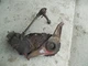 McCormick Farmall F20 IH tractor engine governor front cover panel *