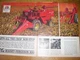 VINTAGE MASSEY FERGUSON ADVERTISING PAGES - MF 300 COMBINE & 62 CORN PICKER