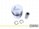 Piston with Ring STD For Deutz 02233072, FL 912, FL 912W, 100MM