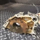1455676 Oil Pump Hyster S50XM D187 Forklift Good Used Parts