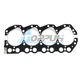 New Cylinder Head Gasket For Nissan QD32 QD32T Truck Forklift(Metal)