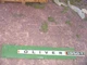 Oliver Tractor 1950T Side Panel 