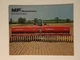 Massey-Ferguson MF 33 43 63 Drill Color Brochure 8 pg. '75 MINT 135 175 Tractor
