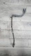 Detroit DD15 COOLANT LINE-UREA SYSTEM A04-27682-000