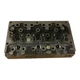 Cylinder Head Perkins 3.152 A3.152 Diesel Massey Ferguson 135 230 240 250 MF150