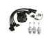 Complete Tune up Kit Massey Ferguson MF 20 40 2200 2500 3 Cyl Perkins with AL295