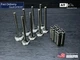 Engine Valves with Guide Perkins 4.236 Massey Ferguson 265, 375, 385, 285