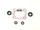 Cummins MVS Throttle Shaft Seal 301045 Kit w/ 70705  gasket  KT & NT855  V903