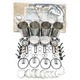 Overhaul Rebuild Kit for Cummins Engine ISBE4