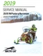 Arctic Cat ZR XF M Pantera Norseman 3000 7000 9000 Service Manual | 2019 | USB