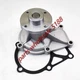 Water Pump 3704180M91 for Massey Ferguson 1125 1140 1240 1250 1260 Bolens G274