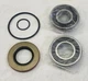 Hobart Mixer h600 l800  mixer  planetary  Bearing and Seal Kit 1 O Ring oil Cap