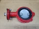 FMC 4&Prime; Butterfly valve Model 12N 3229886
