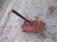 McCormick Farmall F20 tractor transmission cover panel gear shift shifter tower