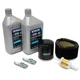 Tune Up Kit SAE 10W-40 for Kohler Engine CV11-CV16 CV460-CV493 12 789 02-S