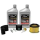 Home Service Kit w/ Oil for John Deere LG191 LT133 LT155 LT150 LX255 LX173 SST1