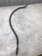 Kohler diesel engine marine generator KDW1404GE 11EKOZD oil drain line hose