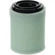 Genuine Kohler 14-083-26-S Air Filter Fits CV173 CV200 CV224 OEM Multi 