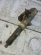 Cub Cadet Cyclops Steering Column 1641 1440  1861 1535 1541 1863