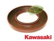 OEM KAWASAKI CRANK SEAL, BOTOM END, FX921V, FX1000V, ZERO TURN MOWERS, 9C23 