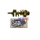 Engine Gasket Kit & Crankshaft Fits For Yanmar 3TNV80F-SXNBV 3TNV80 119E10-21700