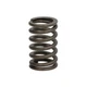 1X VALVE SPRING FITS: CARRARO 100 F 100 VL LS P7040 LS P7040 CPS; CASE IH