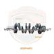 Crankshaft Fit for Yanmar 4TNV106 Engine TL150 C50R3 CTL80 Track Loaders