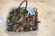 1960 Oliver 1800 Gas Tractor Bolts & Hardware