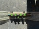 4981367 0445224048 For Cummins ISB4.5 ISD 4.5 QSB6.7 Common Rail