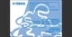 2010 Yamaha YFM700R ATV Maintenance and Owner's manual